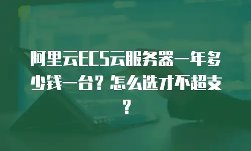 阿里云ECS云服务器一年多少钱一台？怎么选才不超支？