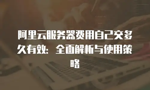 阿里云服务器费用自己交多久有效：全面解析与使用策略