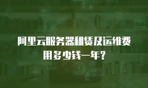 阿里云服务器租赁及运维费用多少钱一年？