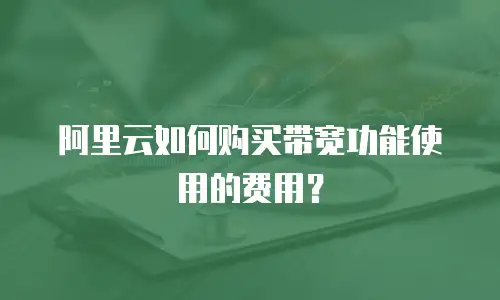 阿里云如何购买带宽功能使用的费用？