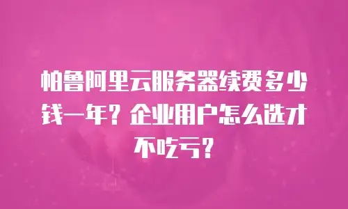帕鲁阿里云服务器续费多少钱一年？企业用户怎么选才不吃亏？