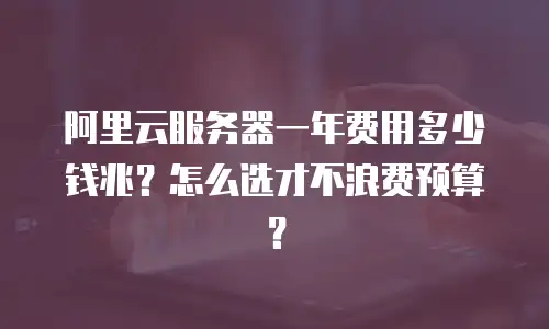 阿里云服务器一年费用多少钱兆？怎么选才不浪费预算？