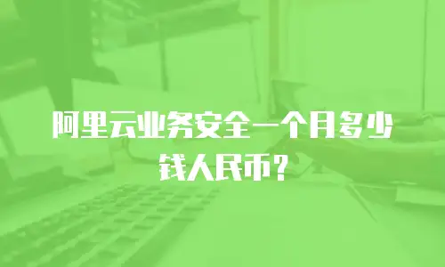 阿里云业务安全一个月多少钱人民币？