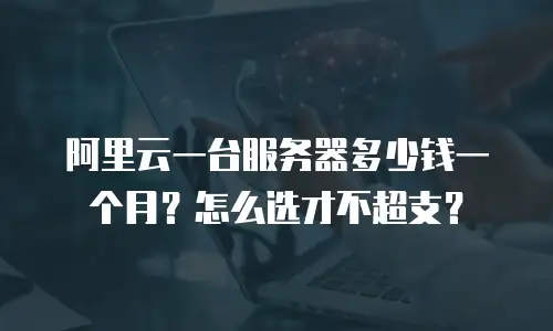 阿里云一台服务器多少钱一个月？怎么选才不超支？
