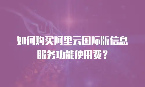 如何购买阿里云国际版信息服务功能使用费？