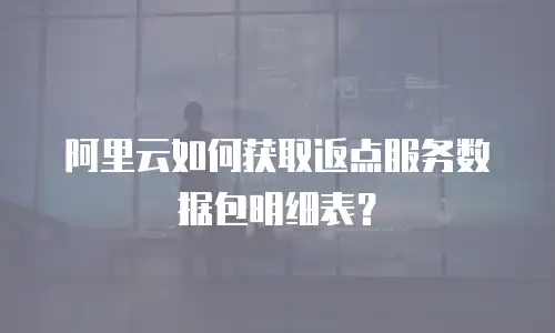 阿里云如何获取返点服务数据包明细表？