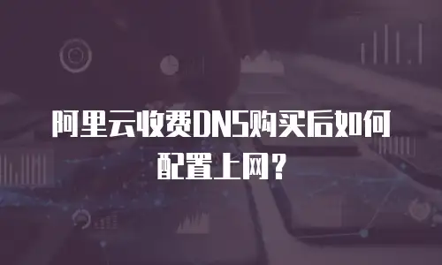 阿里云收费DNS购买后如何配置上网？