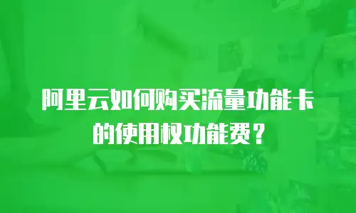 阿里云如何购买流量功能卡的使用权功能费？