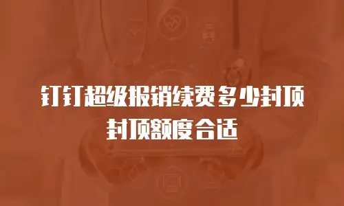 钉钉超级报销续费多少封顶封顶额度合适