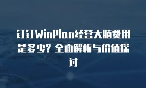 钉钉WinPlan经营大脑费用是多少？全面解析与价值探讨
