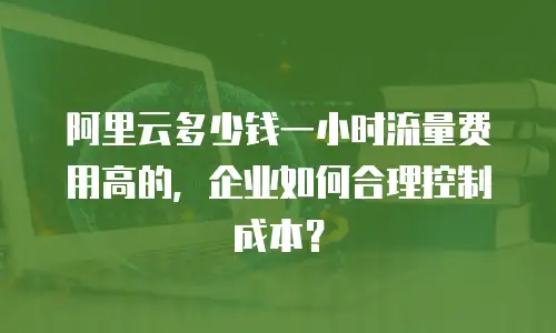 阿里云多少钱一小时流量费用高的，企业如何合理控制成本？