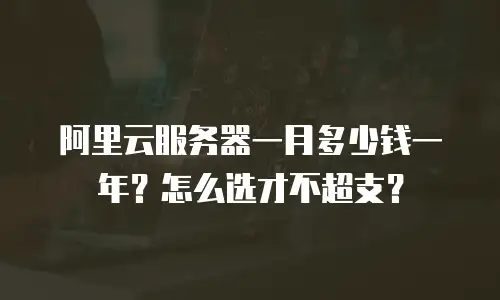 阿里云服务器一月多少钱一年？怎么选才不超支？