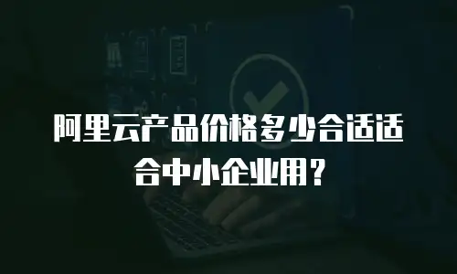 阿里云产品价格多少合适适合中小企业用？