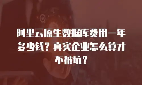 阿里云原生数据库费用一年多少钱？真实企业怎么算才不被坑？