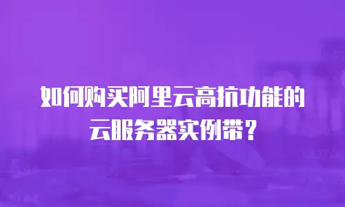 如何购买阿里云高抗功能的云服务器实例带？