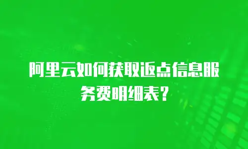 阿里云如何获取返点信息服务费明细表？