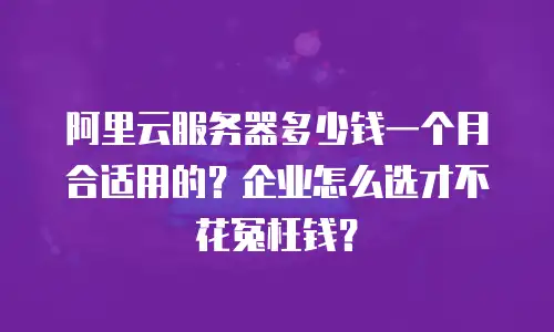 阿里云服务器多少钱一个月合适用的？企业怎么选才不花冤枉钱？