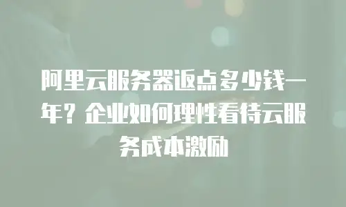 阿里云服务器返点多少钱一年？企业如何理性看待云服务成本激励