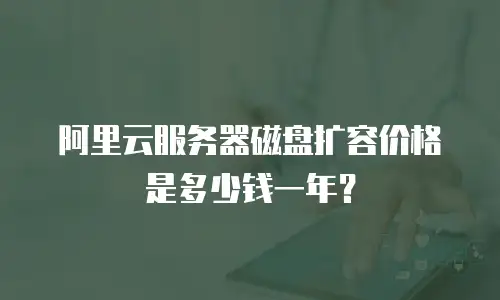 阿里云服务器磁盘扩容价格是多少钱一年？