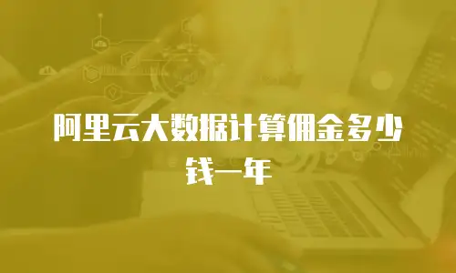 阿里云大数据计算佣金多少钱一年
