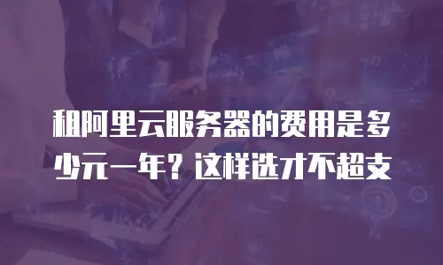 租阿里云服务器的费用是多少元一年？这样选才不超支
