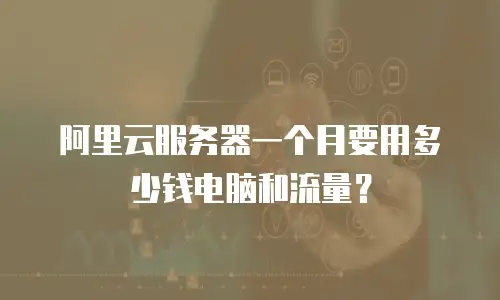 阿里云服务器一个月要用多少钱电脑和流量？