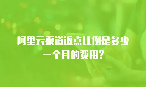 阿里云渠道返点比例是多少一个月的费用？
