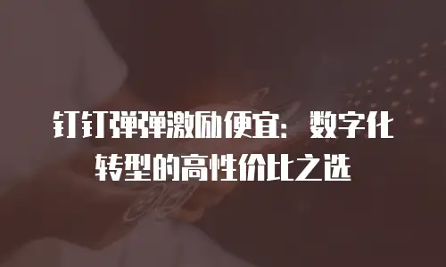钉钉弹弹激励便宜：数字化转型的高性价比之选