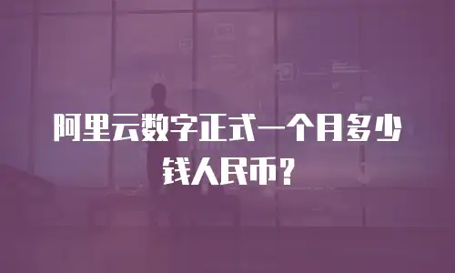 阿里云数字正式一个月多少钱人民币？