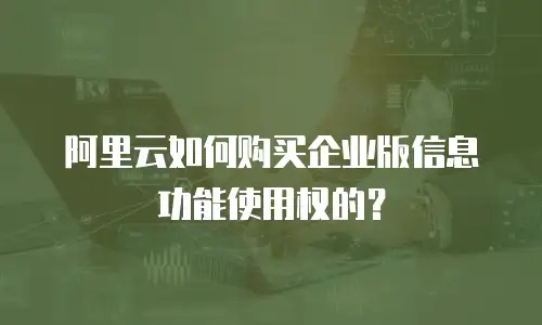 阿里云如何购买企业版信息功能使用权的？
