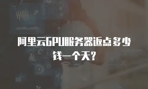 阿里云GPU服务器返点多少钱一个天？
