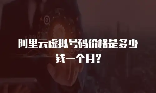 阿里云虚拟号码价格是多少钱一个月？