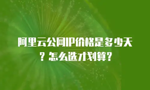 阿里云公网IP价格是多少天？怎么选才划算？