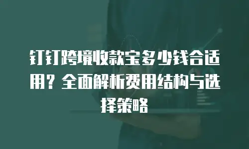 钉钉跨境收款宝多少钱合适用？全面解析费用结构与选择策略