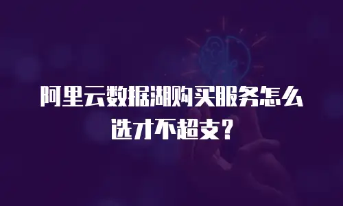 阿里云数据湖购买服务怎么选才不超支？