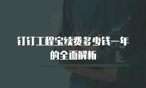 钉钉工程宝续费多少钱一年的全面解析