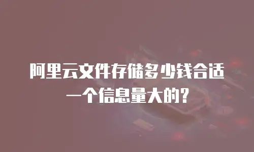 阿里云文件存储多少钱合适一个信息量大的？