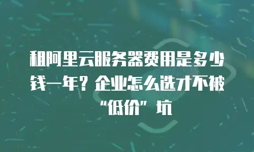 租阿里云服务器费用是多少钱一年？企业怎么选才不被“低价”坑
