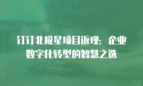 钉钉北极星项目返现：企业数字化转型的智慧之选