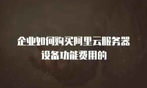 企业如何购买阿里云服务器设备功能费用的