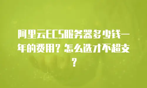 阿里云ECS服务器多少钱一年的费用？怎么选才不超支？