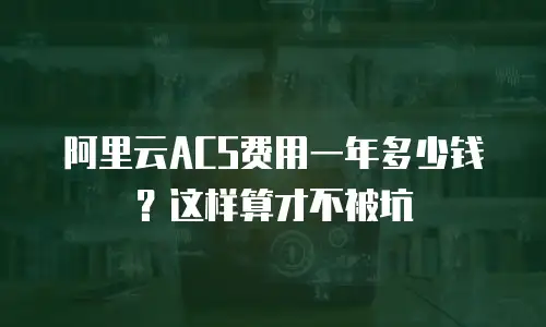 阿里云ACS费用一年多少钱？这样算才不被坑