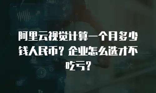 阿里云视觉计算一个月多少钱人民币？企业怎么选才不吃亏？