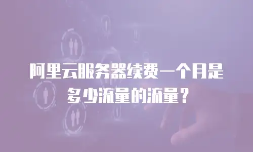 阿里云服务器续费一个月是多少流量的流量？