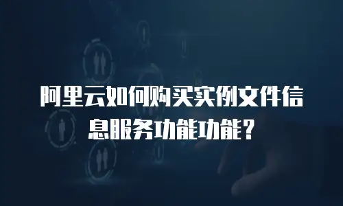阿里云如何购买实例文件信息服务功能功能？