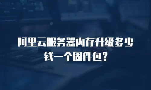阿里云服务器内存升级多少钱一个固件包？