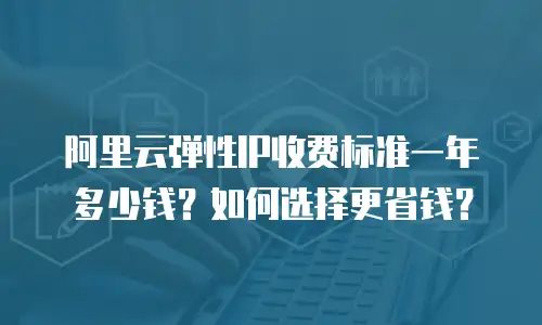 阿里云弹性IP收费标准一年多少钱？如何选择更省钱？