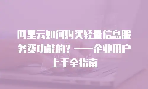 阿里云如何购买轻量信息服务费功能的？——企业用户上手全指南