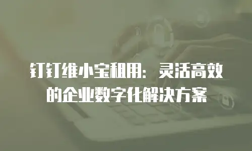 钉钉维小宝租用：灵活高效的企业数字化解决方案