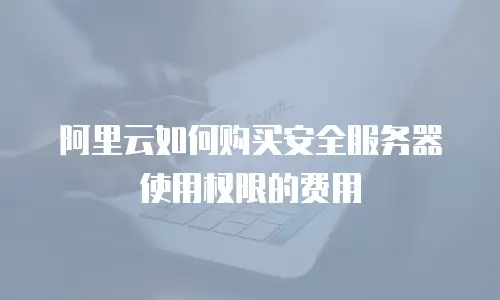 阿里云如何购买安全服务器使用权限的费用